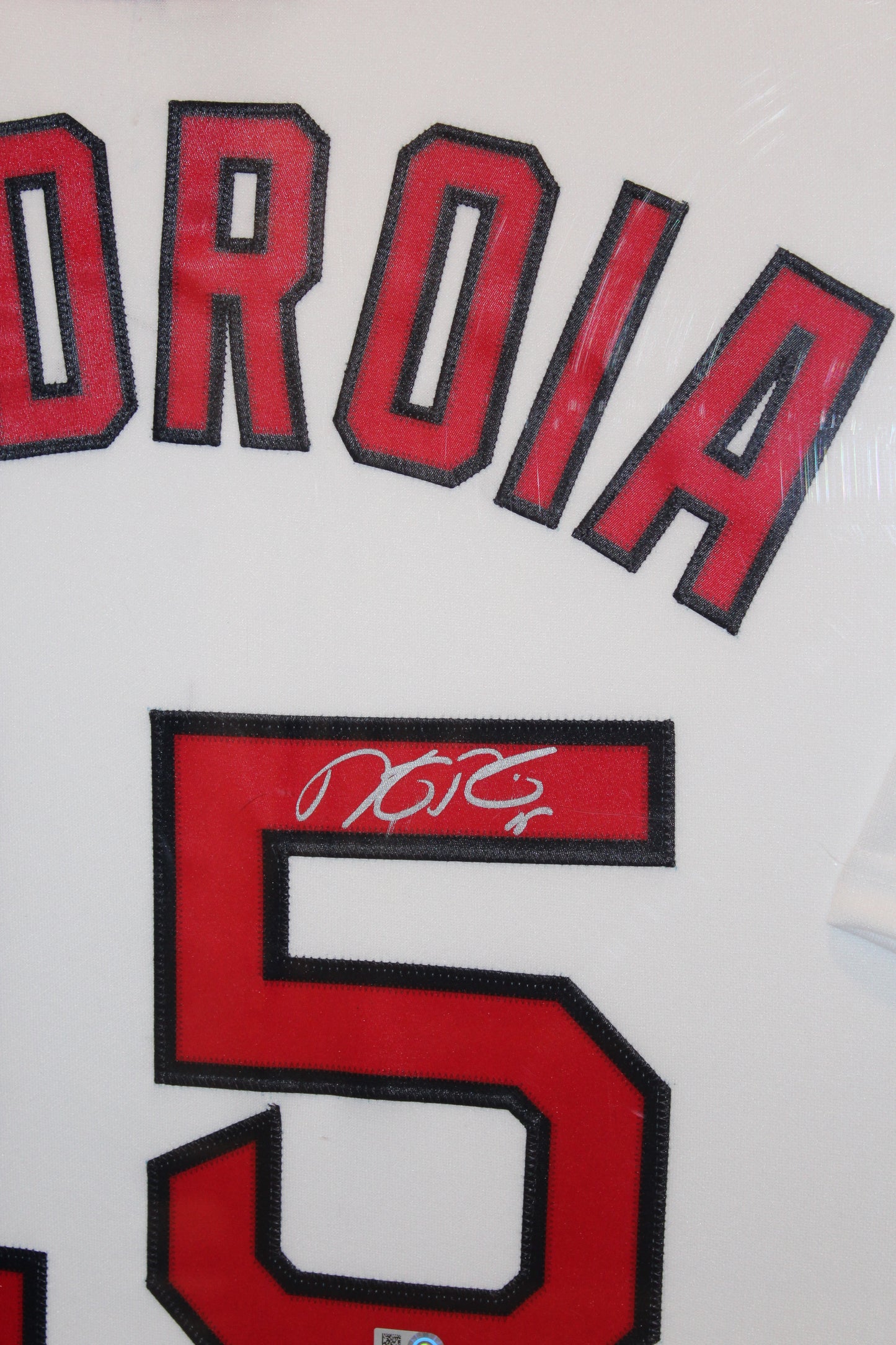 Dustin Pedroia Signed and Framed Jersey with Action Photos (38x46)