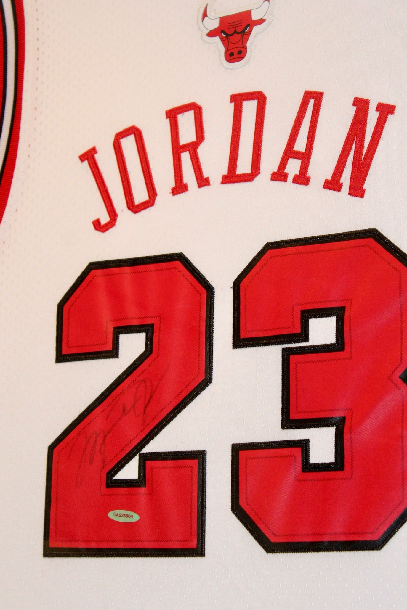 Michael Jordan Signed Jersey (2016 Flight School) 38x46